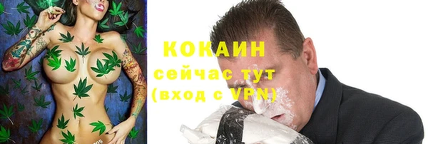 ГАЛЛЮЦИНОГЕННЫЕ ГРИБЫ Зерноград