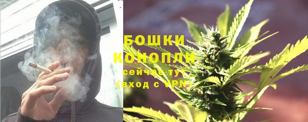 PSILOCYBIN Зеленодольск
