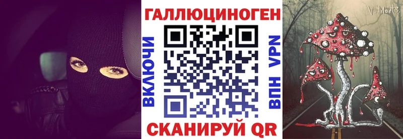 Псилоцибиновые грибы Cubensis  Купить  Сясьстрой 
